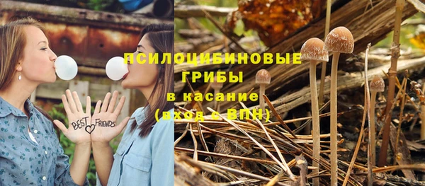 соль ск Алзамай