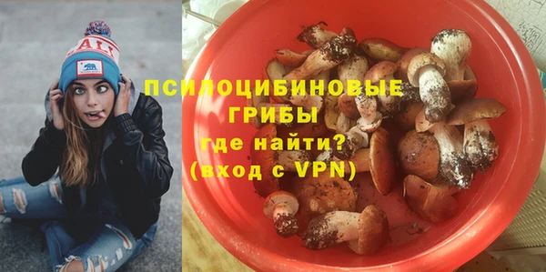 крисы Алексин